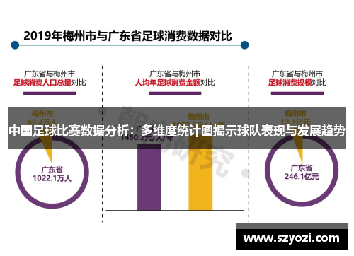 中国足球比赛数据分析：多维度统计图揭示球队表现与发展趋势